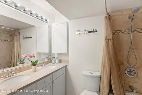 412 Vine Street, Aspen, CO 81611 — photo 14