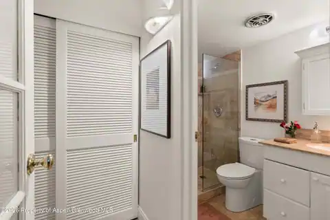 412 Vine Street, Aspen, CO 81611 — photo 18