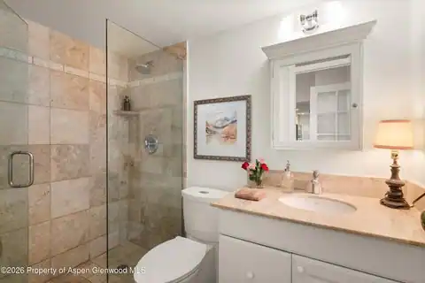 412 Vine Street, Aspen, CO 81611 — photo 19