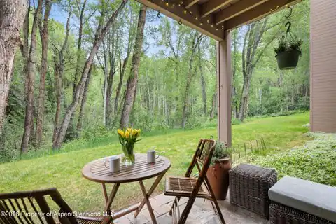412 Vine Street, Aspen, CO 81611 — photo 20