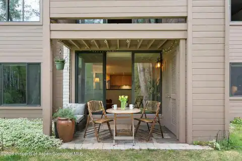 412 Vine Street, Aspen, CO 81611 — photo 22