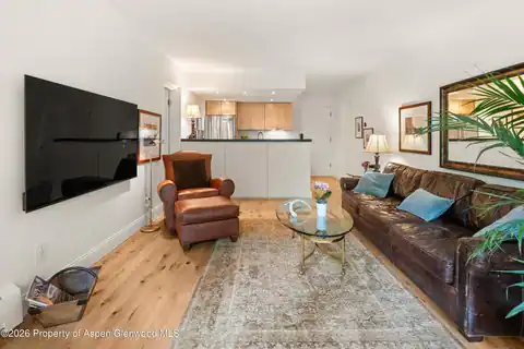 412 Vine Street, Aspen, CO 81611 — photo 5