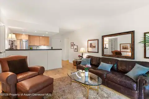 412 Vine Street, Aspen, CO 81611 — photo 6