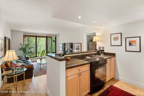 412 Vine Street, Aspen, CO 81611 — photo 7
