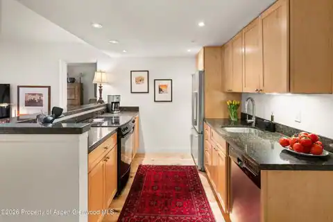 412 Vine Street, Aspen, CO 81611 — photo 8