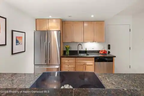 412 Vine Street, Aspen, CO 81611 — photo 9