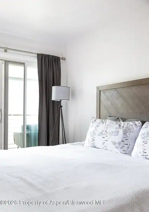 210 E Cooper Avenue #3-E, Aspen, CO 81611 — photo 10