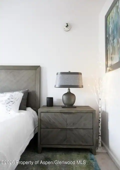 210 E Cooper Avenue #3-E, Aspen, CO 81611 — photo 11