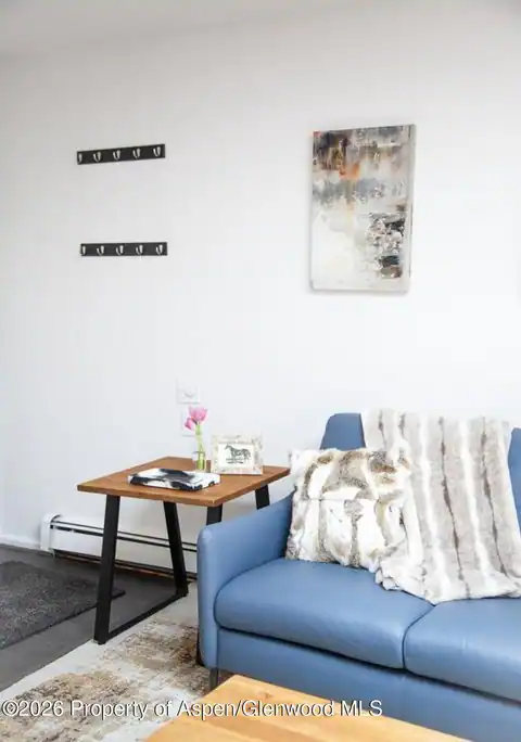 210 E Cooper Avenue #3-E, Aspen, CO 81611 — photo 3