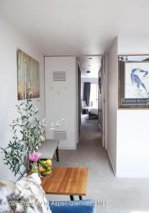 210 E Cooper Avenue #3-E, Aspen, CO 81611 — photo 4