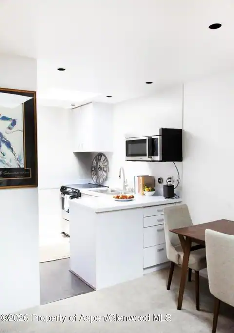 210 E Cooper Avenue #3-E, Aspen, CO 81611 — photo 6