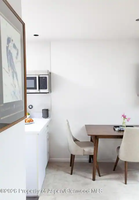 210 E Cooper Avenue #3-E, Aspen, CO 81611 — photo 9