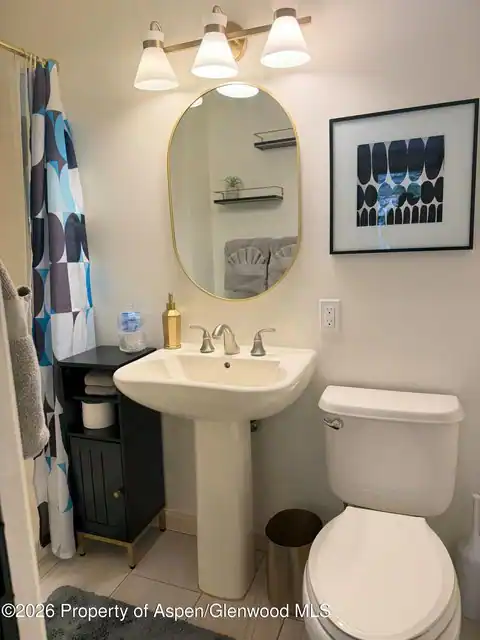 1501 Maroon Creek Road #2, Aspen, CO 81611 — photo 12