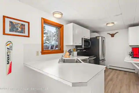 1501 Maroon Creek Road #2, Aspen, CO 81611 — photo 5