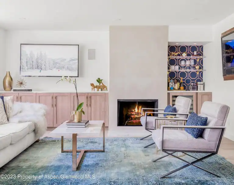 1020 E Durant Avenue #101, Aspen, CO 81611
