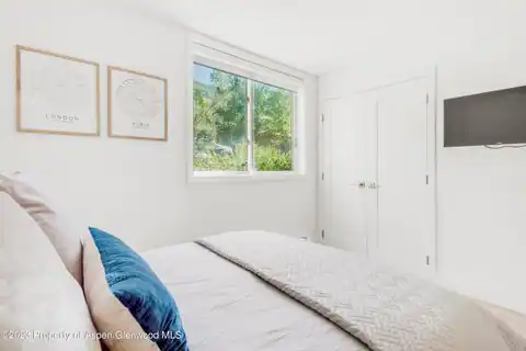 1020 E Durant Avenue #101, Aspen, CO 81611 — photo 10