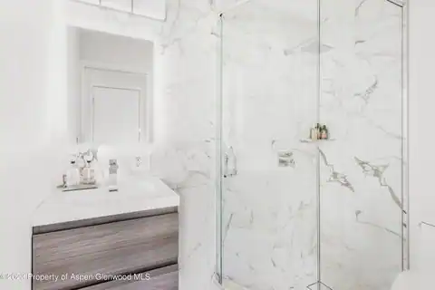 1020 E Durant Avenue #101, Aspen, CO 81611 — photo 12