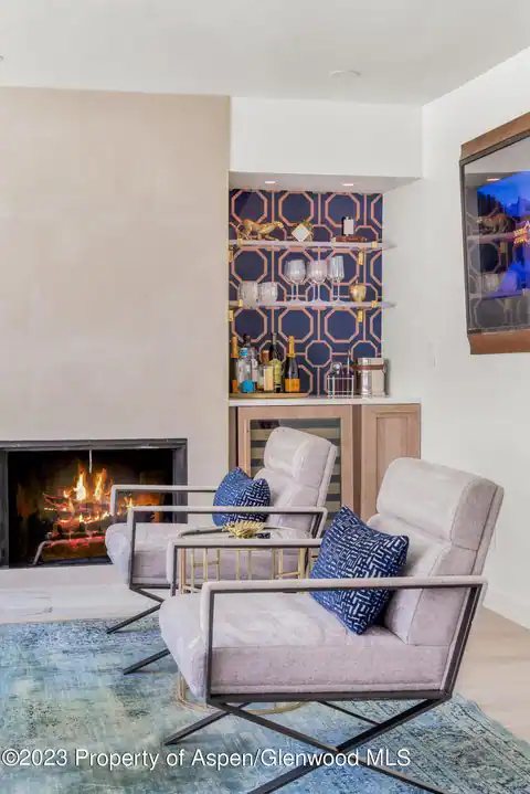 1020 E Durant Avenue #101, Aspen, CO 81611 — photo 2
