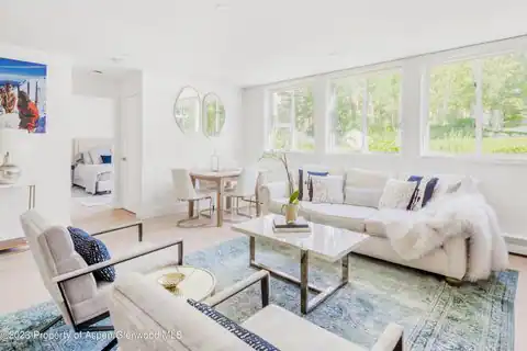 1020 E Durant Avenue #101, Aspen, CO 81611 — photo 3