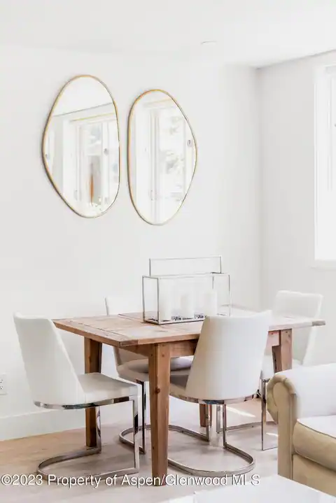 1020 E Durant Avenue #101, Aspen, CO 81611 — photo 5