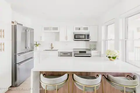 1020 E Durant Avenue #101, Aspen, CO 81611 — photo 6