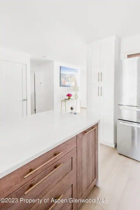 1020 E Durant Avenue #101, Aspen, CO 81611 — photo 7