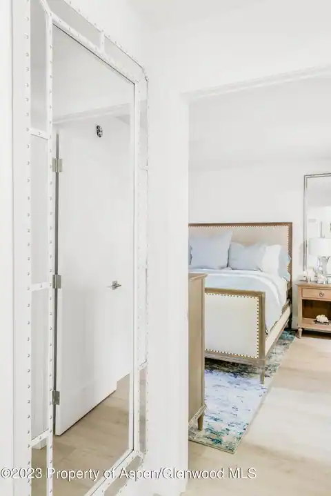 1020 E Durant Avenue #101, Aspen, CO 81611 — photo 8