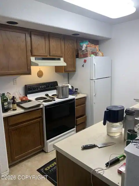 896 E Bobo Loop, King Salmon, AK 99613 — photo 12