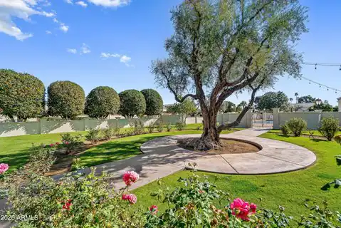 4317 N 70TH Street, Scottsdale, AZ 85251 — photo 48