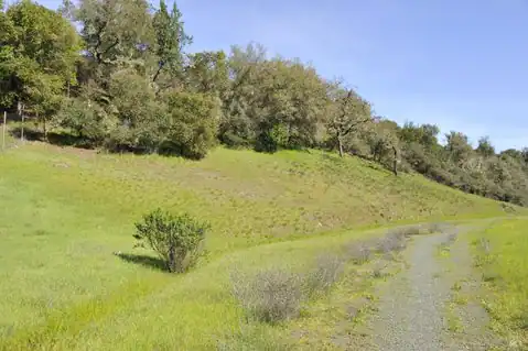 1640 Canyon Run, Healdsburg, CA 95448 — photo 11