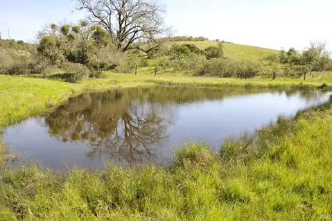 1640 Canyon Run, Healdsburg, CA 95448 — photo 14