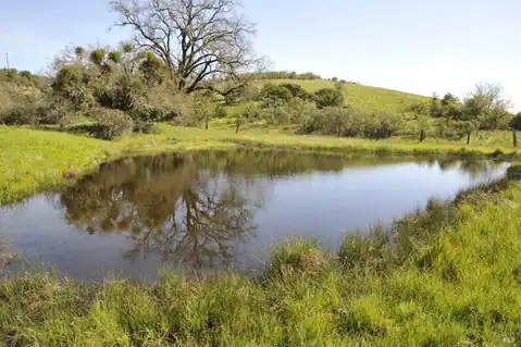 1640 Canyon Run, Healdsburg, CA 95448 — photo 15