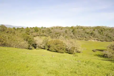 1640 Canyon Run, Healdsburg, CA 95448 — photo 21