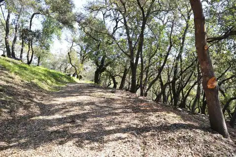 279 Clear Ridge Drive, Healdsburg, CA 95448 — photo 10