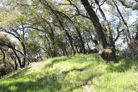 279 Clear Ridge Drive, Healdsburg, CA 95448 — photo 15