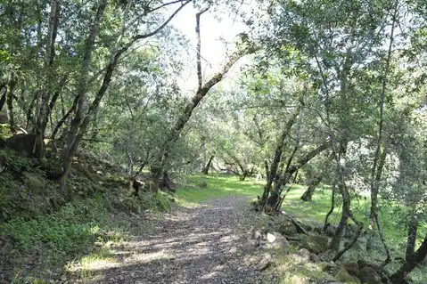 279 Clear Ridge Drive, Healdsburg, CA 95448 — photo 22