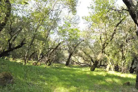279 Clear Ridge Drive, Healdsburg, CA 95448 — photo 23