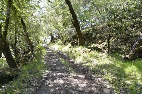 279 Clear Ridge Drive, Healdsburg, CA 95448 — photo 3