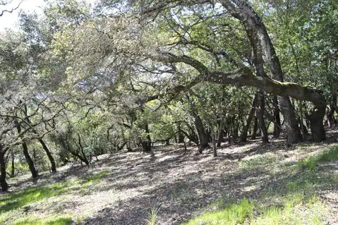 279 Clear Ridge Drive, Healdsburg, CA 95448 — photo 6