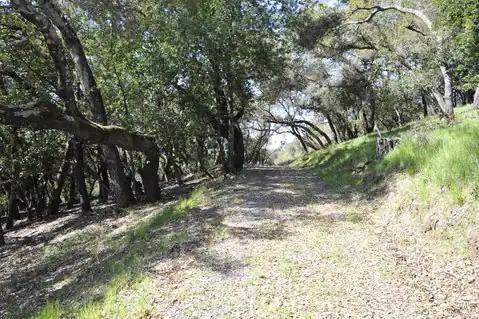 279 Clear Ridge Drive, Healdsburg, CA 95448 — photo 7
