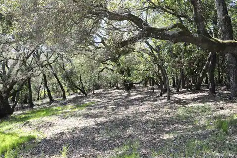 279 Clear Ridge Drive, Healdsburg, CA 95448 — photo 8