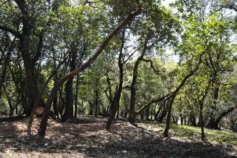 279 Clear Ridge Drive, Healdsburg, CA 95448 — photo 9