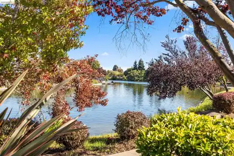 116 Shepardson Ln, Alameda, CA 94502 — photo 23