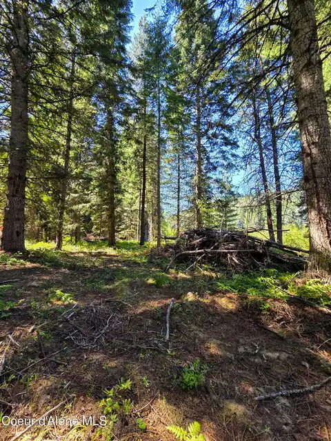 NNA Pup Paw Trail, Priest River, ID 83856 — photo 10