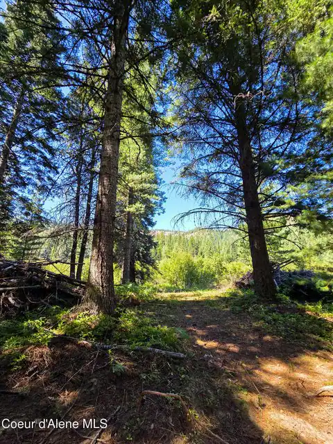 NNA Pup Paw Trail, Priest River, ID 83856 — photo 11