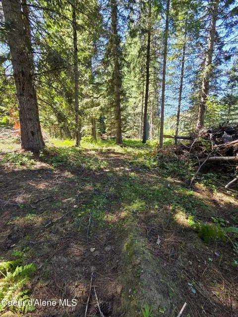 NNA Pup Paw Trail, Priest River, ID 83856 — photo 12
