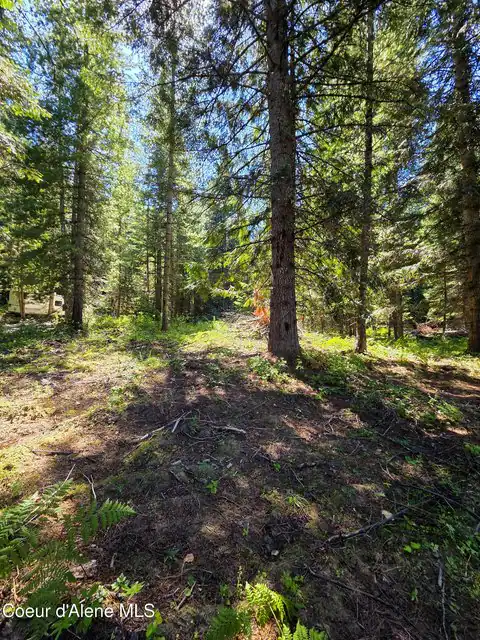 NNA Pup Paw Trail, Priest River, ID 83856 — photo 13