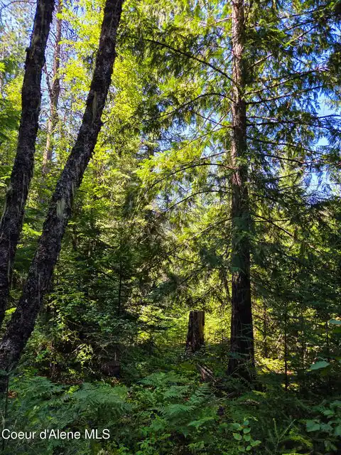 NNA Pup Paw Trail, Priest River, ID 83856 — photo 14