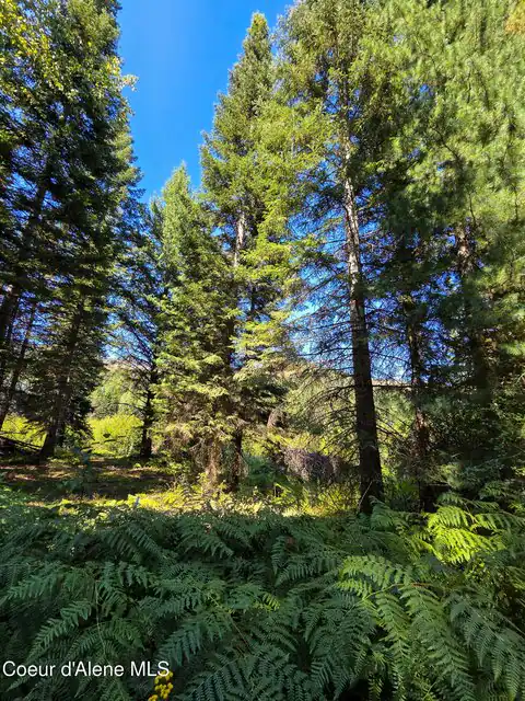 NNA Pup Paw Trail, Priest River, ID 83856 — photo 15