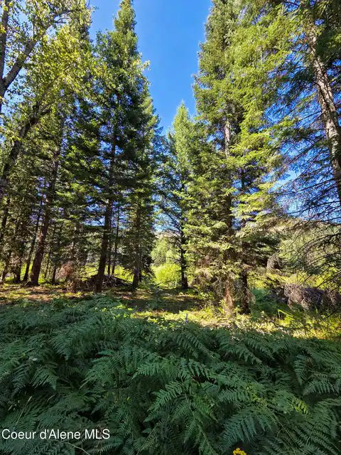 NNA Pup Paw Trail, Priest River, ID 83856 — photo 16